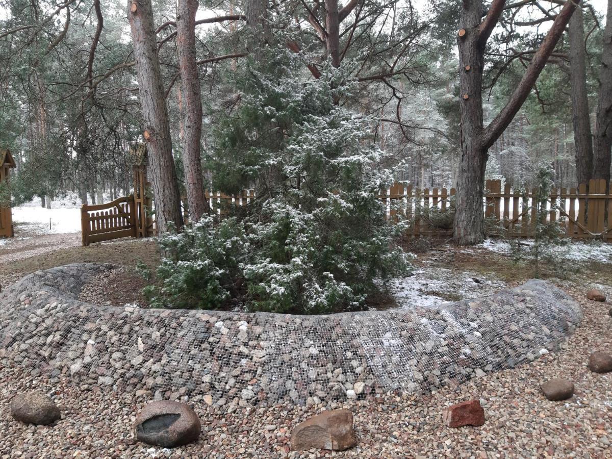 Kempings Videnieki Liepene Kültér fotó